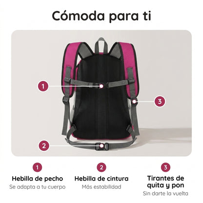 Mochila para perro: llévalo siempre contigo