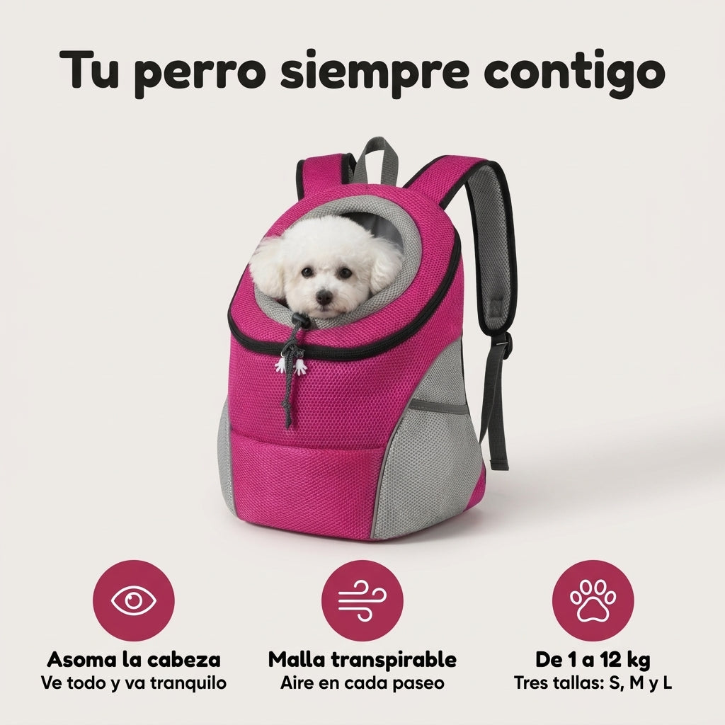 Mochila para perro: llévalo siempre contigo